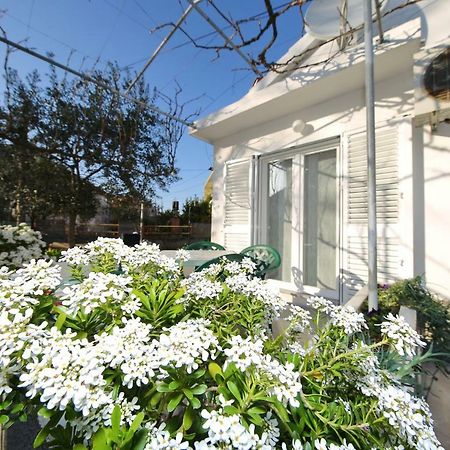 Apartman Antonio Zadar Eksteriør billede